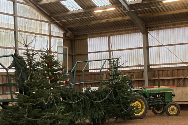 Weihnachten 2021 Heiderhof Bild 5 Ute Krüger Weihnachten 2021 Heiderhof Bild 5 Ute Krüger