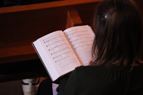 IMG_3113 IMG_3113