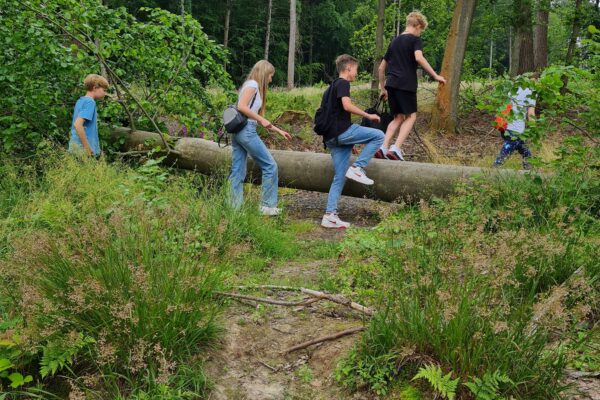Begrüßungsgd Konfis 2022 über den Baum klettern Foto Birgit Retzmann Begrüßungsgd Konfis 2022 über den Baum klettern Foto Birgit Retzmann