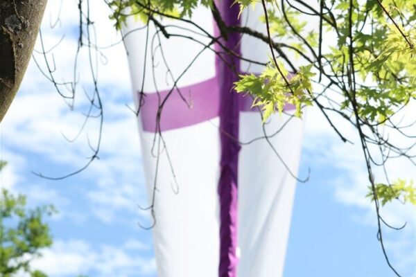 IMG_3867 IMG_3867