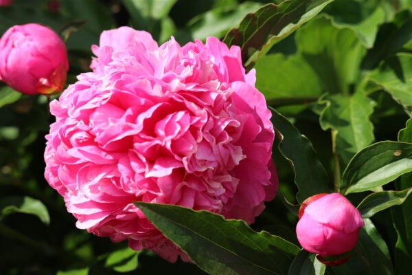 IMG_3869 IMG_3869