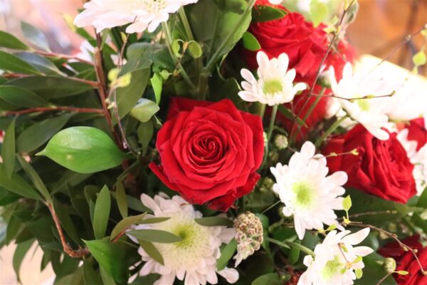 IMG_6335 IMG_6335