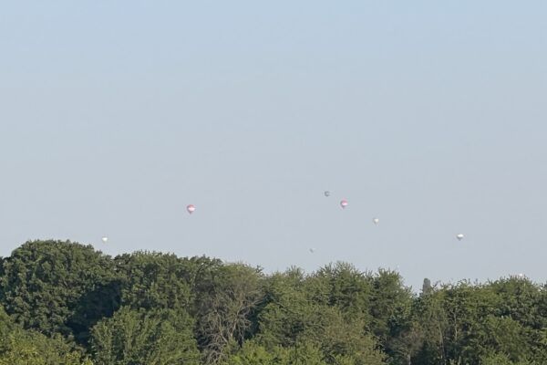 IMG_2261 IMG_2261
