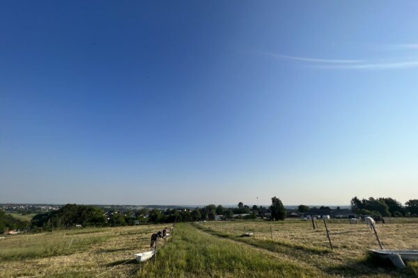 IMG_2263 IMG_2263