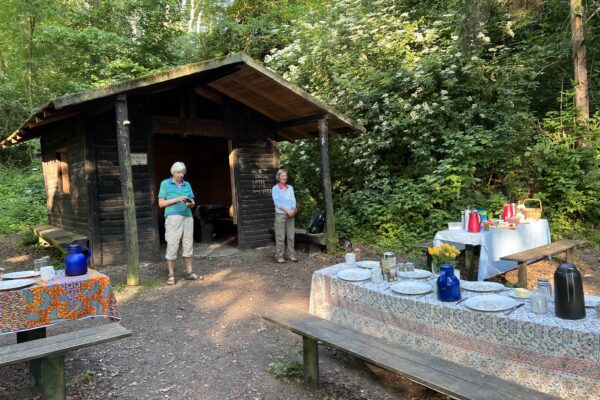 IMG_2264 IMG_2264