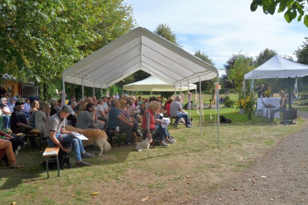 Tiergottesdienst Bild Antje Firmenich Tiergottesdienst Bild Antje Firmenich