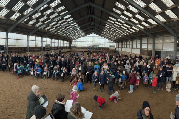 IMG_3993 IMG_3993
