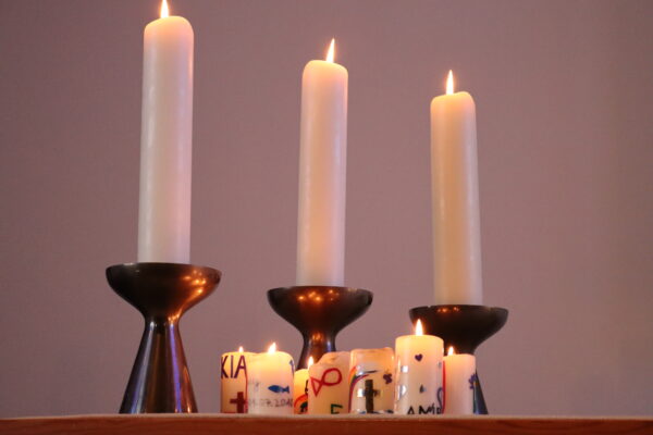 IMG_7395 IMG_7395