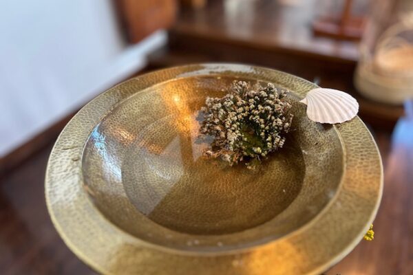 IMG_5669 IMG_5669