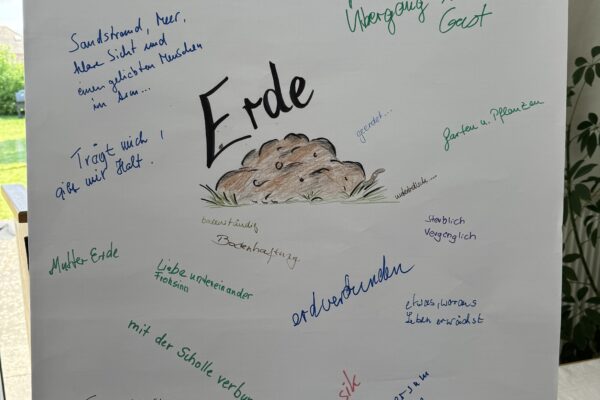 IMG_0306 IMG_0306