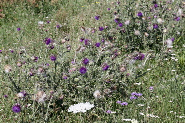 Bild 12 Bild 12