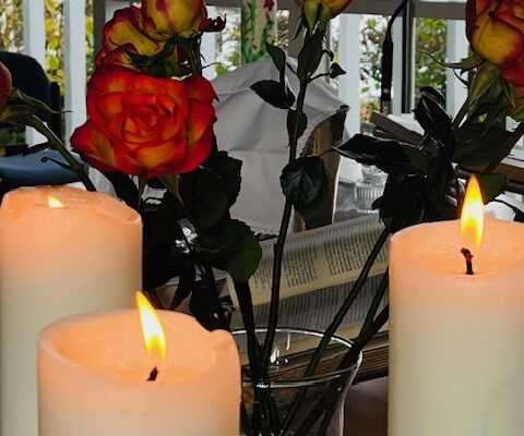 IMG_3382 IMG_3382