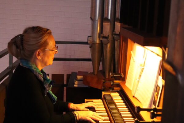 IMG_8864 IMG_8864