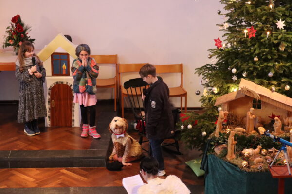 IMG_8877 IMG_8877
