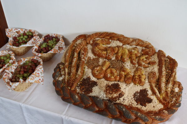 IMG_0209 IMG_0209