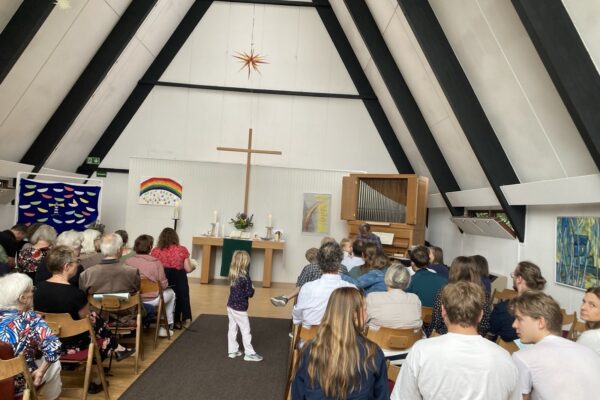 IMG_4519 IMG_4519